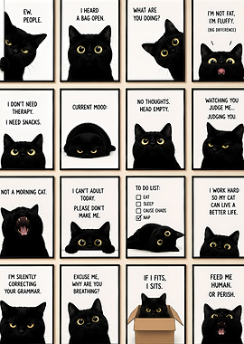 Funny Black Cat Posters