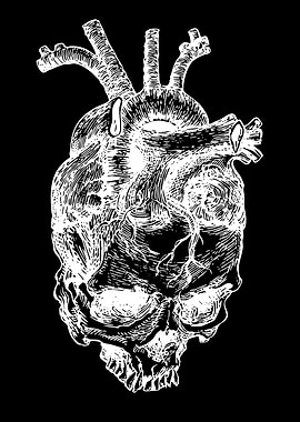 Skull Heart Illustration