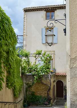 Charming European Alleyway with Greenery