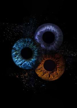 Three Colorful Irises Exploding