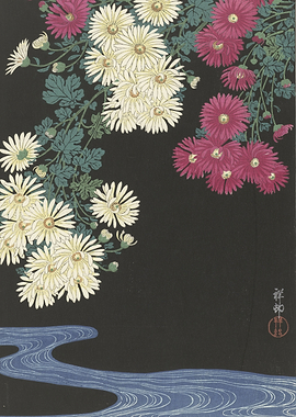 Chrysanthemums and Water