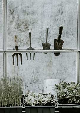 Gardening Tools and Seedlings in Greenhouse