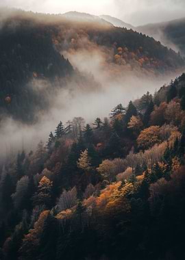 Misty Autumn Mountain Forest