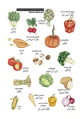 Watercolor illustration of kitchen chart and garden vegetables