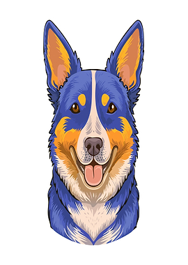 Blue Heeler Dog Portrait