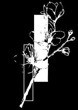 White Floral Illustration with Geometric Shapes