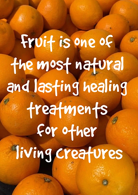 Oranges with inspirational text