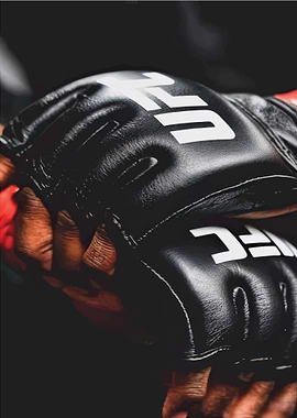 UFC MMA Gloves