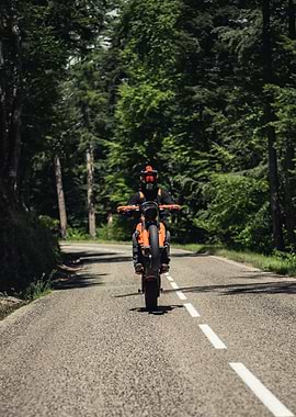 Motorcyclist doing a wheelie on a forest road