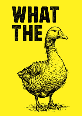 What The Duck Goose Illustration