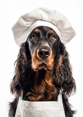 Gordon Setter Chef Dog in Uniform