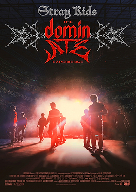 Stray Kids The Domination Experience Poster