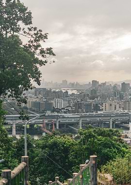 Cityscape Overlook with Lush Greenery