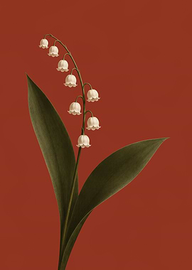 Lily of the Valley Wall Art – Vintage Botanical Floral Poster in Terracotta Tones
