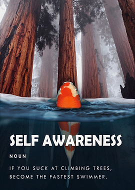 Self Awareness Definition Motivational Art