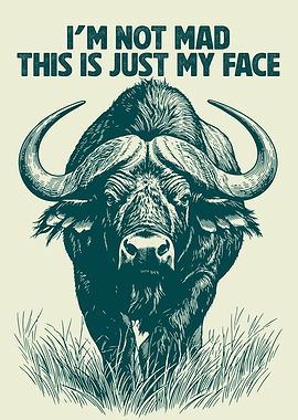Buffalo 'Not Mad' Face