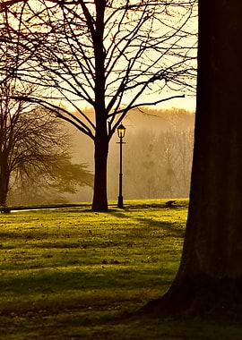 Evening Glow