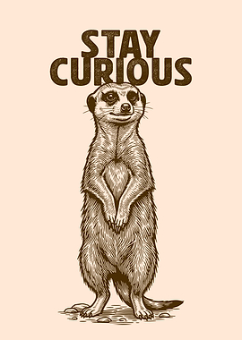 Meerkat 'Stay Curious' Illustration