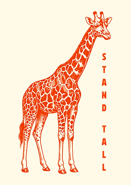 Giraffe Standing Tall
