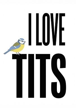 I Love Tits Bird Art