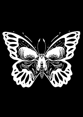 Skull Butterfly Illustration