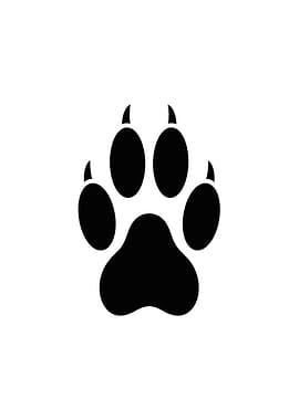 Black Paw