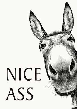 Funny Donkey