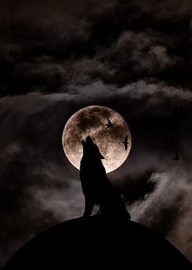 Wolf howling at the moon