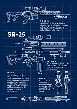 SR-25 Blueprint Weapon