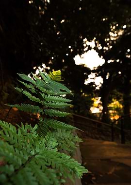 Walking on a Path