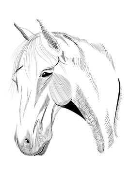 Detailed Horse Head Sketch