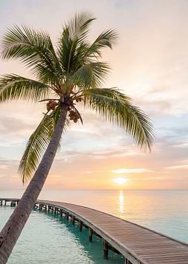 Tropical sunset with palm tree and pier