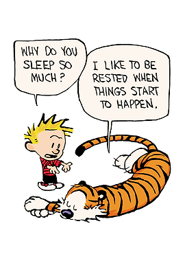 Calvin and Hobbes sleeping
