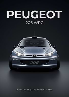 Peugeot 206 WRC Rally Car