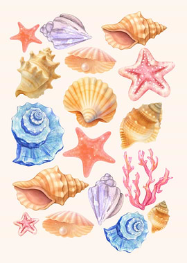 Seashell and Starfish Collection