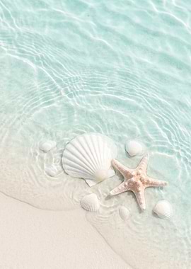 Seashells and Starfish on a Sandy Beach