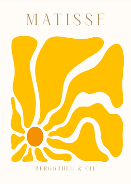 Matisse | Summer sun
