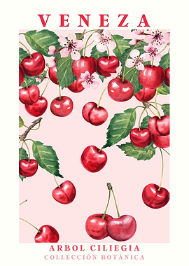 Veneza Cherry Blossom Botanical Art