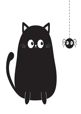 Cute Black Cat And Spider