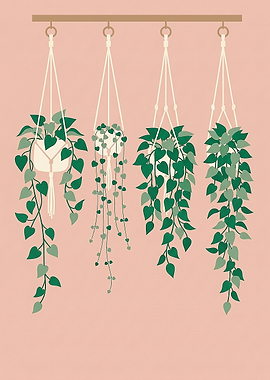 Hanging Potted Plants