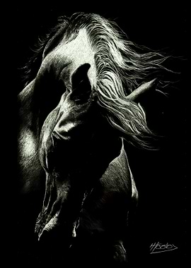 Spirit of the Horse