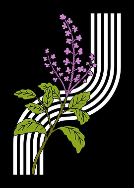 Botanical illustration with abstract lines