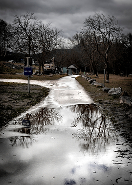 Puddle Reflection on a Rainy Day