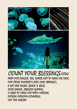 Count Your Blessings Poster