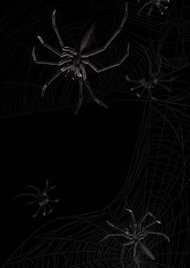 Spiders on a Web