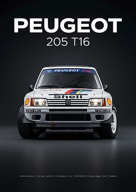 Peugeot 205 T16 Rally Car