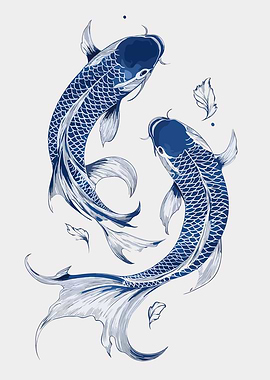 Two Blue Koi Fish Swimming
