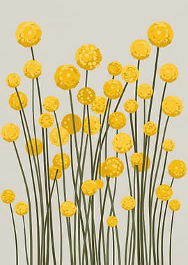 Yellow Craspedia Flowers on Stems