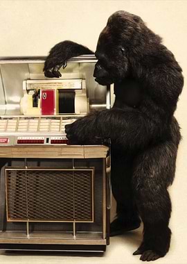 Gorilla with a Jukebox