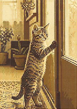 Kitten looking out a window